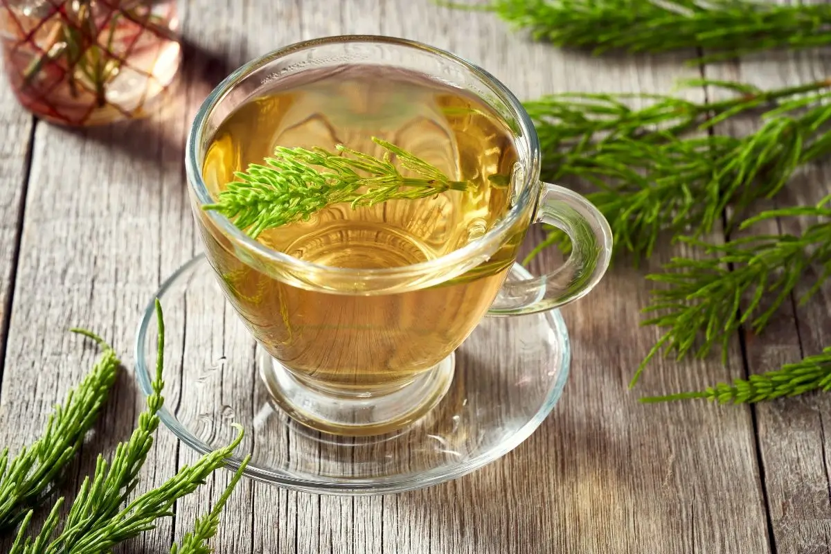 Chá de cavalinha faz mal para o fígado